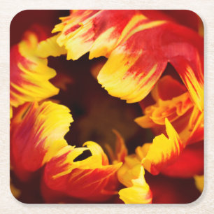 Dessous-de-verre Carré En Papier Europe, Pays-Bas, Lisse. Tulipe de perroquet