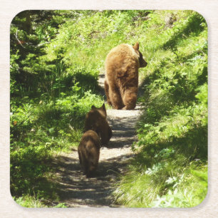 Dessous-de-verre Carré En Papier Famille d'ours brun