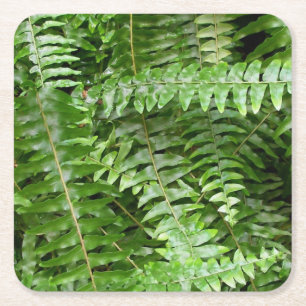 Dessous-de-verre Carré En Papier Fermer Fronds I Green Nature