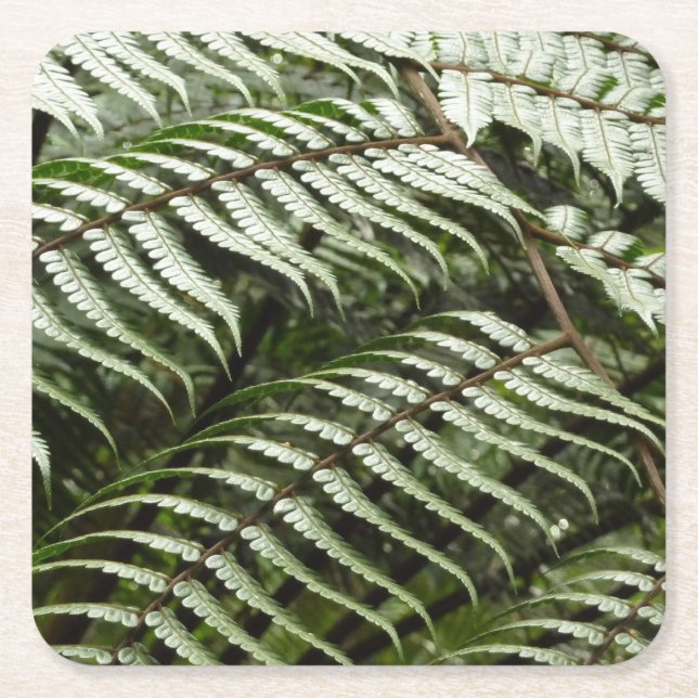 Dessous-de-verre Carré En Papier Fern Fronds II Dark Green Nature (Devant)