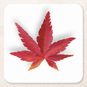 Dessous-de-verre Carré En Papier Feuille d'automne simple rouge