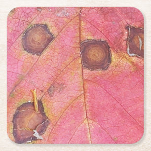 Dessous-de-verre Carré En Papier Feuille de chute rouge pointillée Brown