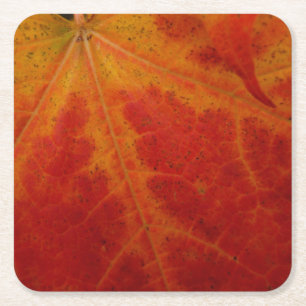 Dessous-de-verre Carré En Papier Feuille d'érable rouge Abstraite Automne Photograp