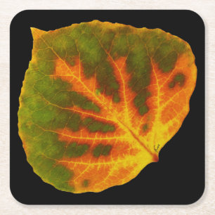 Dessous-de-verre Carré En Papier Feuille vert orange et jaune d'Aspen #1