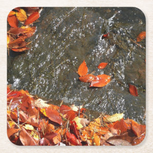 Dessous-de-verre Carré En Papier Feuilles d'automne dans la cascade I Photographie 