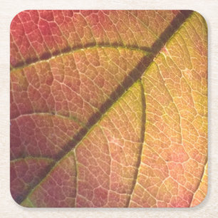 Dessous-de-verre Carré En Papier Feuilles de automne jaunes et rouges