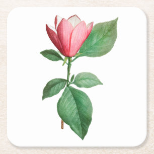 Dessous-de-verre Carré En Papier Fleur : A001 Lily Magnolia -