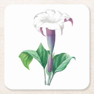 Dessous-de-verre Carré En Papier Fleur : A006 Thorn Apple -