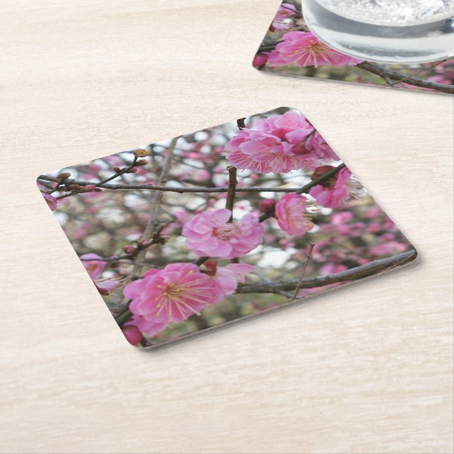 Dessous-de-verre Carré En Papier Fleur de cerisier rose / Sakura / ク(桜) (Incliné)