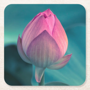 Dessous-de-verre Carré En Papier Fleur de nénuphar de Lotus