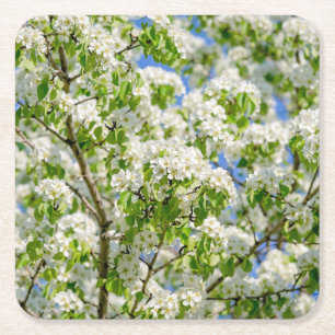 Dessous-de-verre Carré En Papier Fleur de pomme de crabe