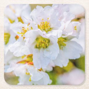 Dessous-de-verre Carré En Papier Fleur de Sakura