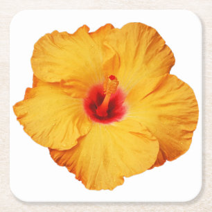 Dessous-de-verre Carré En Papier Fleur d'hibiscus d'or