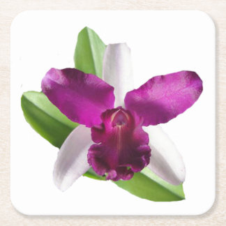 Dessous-de-verre Carré En Papier Fleur d'orchidée de Cattleya