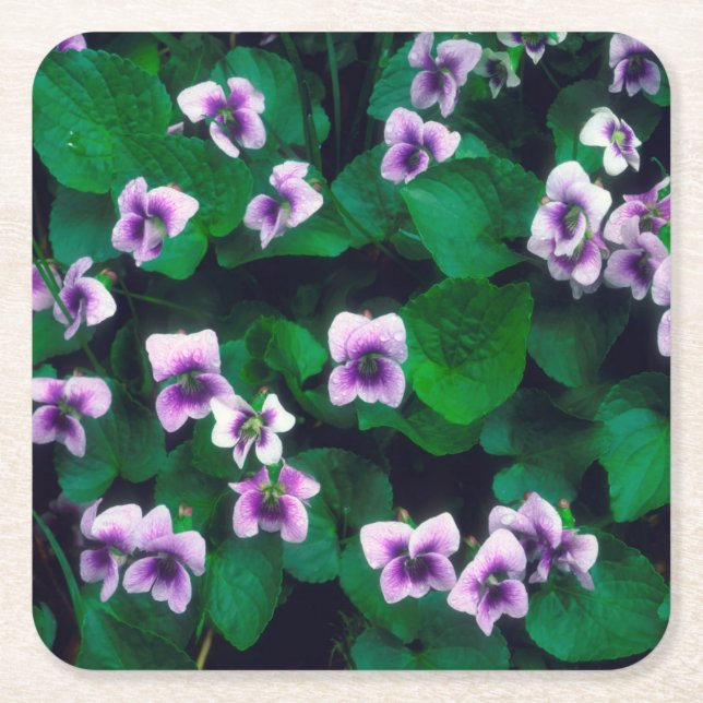 Dessous-de-verre Carré En Papier Fleur sauvage dans la forêt (Devant)