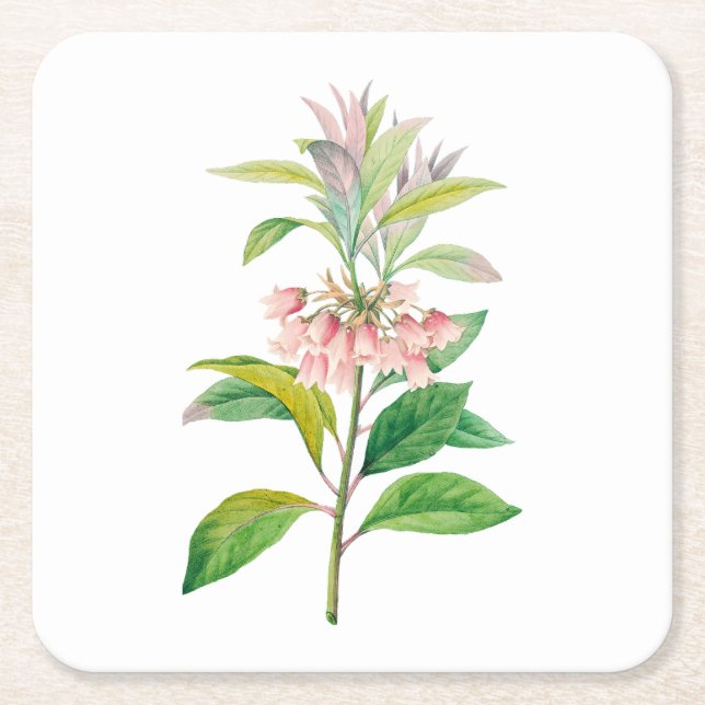 Dessous-de-verre Carré En Papier Fleurs : A013 Redvein Enkianthus - (Devant)