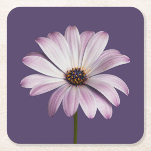 Dessous-de-verre Carré En Papier Fleurs   Blancs et marguerites
