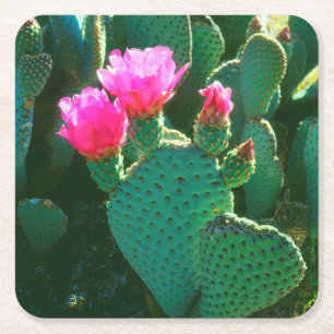 Dessous-de-verre Carré En Papier Fleurs de Cactus Beavertail
