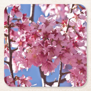 Dessous-de-verre Carré En Papier Fleurs de cerisier Sakura Étoiles rouges