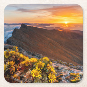 Dessous-de-verre Carré En Papier Fleurs   Îles Canaries, Espagne