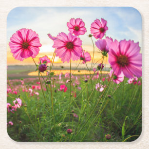 Dessous-de-verre Carré En Papier Fleurs  Province de Chiang Rai, Thaïlande