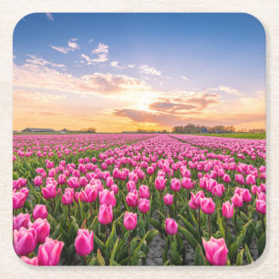 Dessous-de-verre Carré En Papier Fleurs   Tulips Holland Sud, Pays-Bas