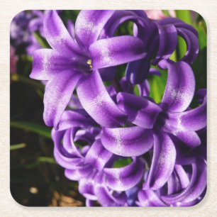 Dessous-de-verre Carré En Papier Flore de printemps Blue Hyacinth II