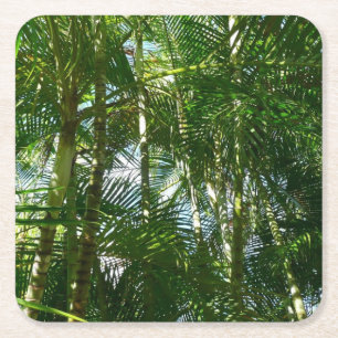 Dessous-de-verre Carré En Papier Forest of Palm Trees Tropical Nature