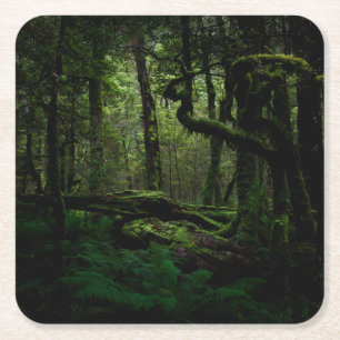Dessous-de-verre Carré En Papier Forests Routeburn Track Fiordland National Park
