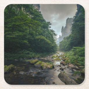 Dessous-de-verre Carré En Papier Forests   Zhangjiajie National Forest Park