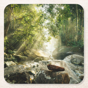 Dessous-de-verre Carré En Papier Forêt Forêt tropicale de la Jungle