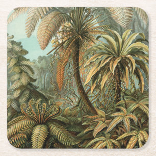 Dessous-de-verre Carré En Papier Fougères Palmier Antique Botanique Fougères Art