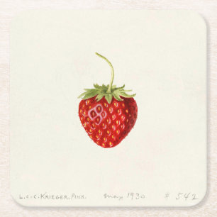 Dessous-de-verre Carré En Papier Framboise rouge (par Louis C.C. Krieger)