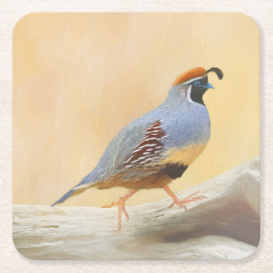 Dessous-de-verre Carré En Papier Gambrel's Quail Painting Original Bird Art