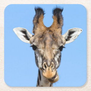 Dessous-de-verre Carré En Papier Giraffe