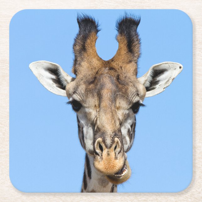 Dessous-de-verre Carré En Papier Giraffe (Devant)