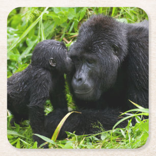 Dessous-de-verre Carré En Papier Gorin bébé des montagnes embrasse un gorille dos a