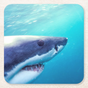 Dessous-de-verre Carré En Papier Grand requin blanc Afrique du Sud