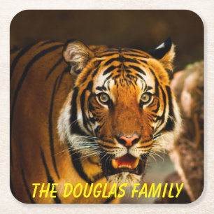 Dessous-de-verre Carré En Papier Gros plan