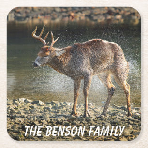 Dessous-de-verre Carré En Papier Gros plan Cerf sauvage