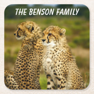 Dessous-de-verre Carré En Papier Gros plan de Wild Cheetah's
