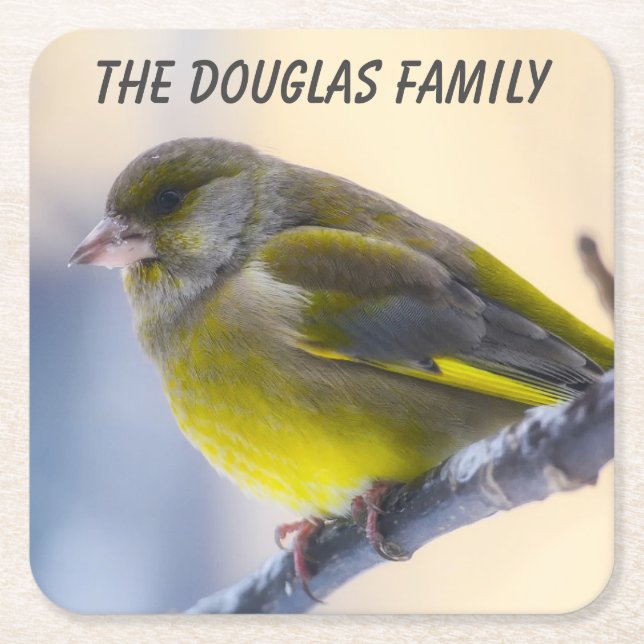 Dessous-de-verre Carré En Papier Gros plan sur les oiseaux sauvages (Devant)