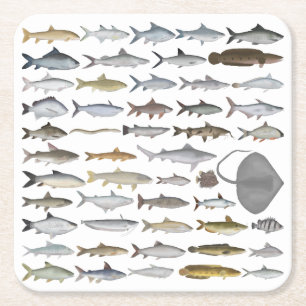 Dessous-de-verre Carré En Papier Groupe de poissons d'eau douce d'Asie du Sud
