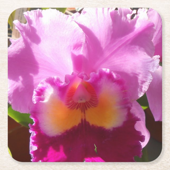 Dessous-de-verre Carré En Papier Harlinde (Devant)