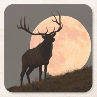 Hausse majestueuse d'élans et de Pleine lune de