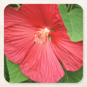 Dessous-de-verre Carré En Papier Hibiscus Flower Bright Magenta