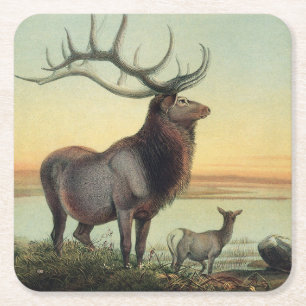 Dessous-de-verre Carré En Papier Illustration de livre vintage 1861 Cerf Wapiti