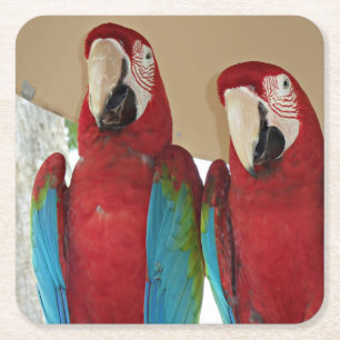 Dessous-de-verre Carré En Papier Illustration de papier tropicale d'un couple d'ara