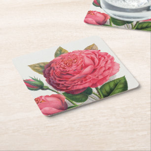 Dessous-de-verre Carré En Papier Illustration de rose rose vintage