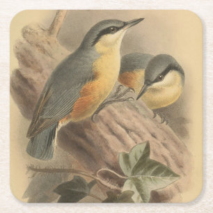 Dessous-de-verre Carré En Papier Illustration vintage de Nuthatch